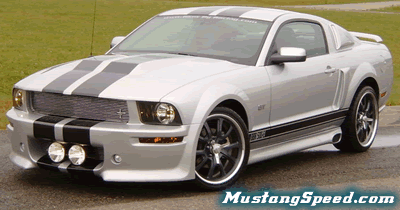 2005 Mustang Luxury n' Race Ground Effects