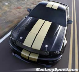 Top Stripe view of the 2006 Shelby GTH