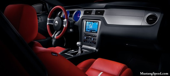 2010 Mustang GPS System