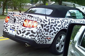 2010 Ford Mustang Spy Shots